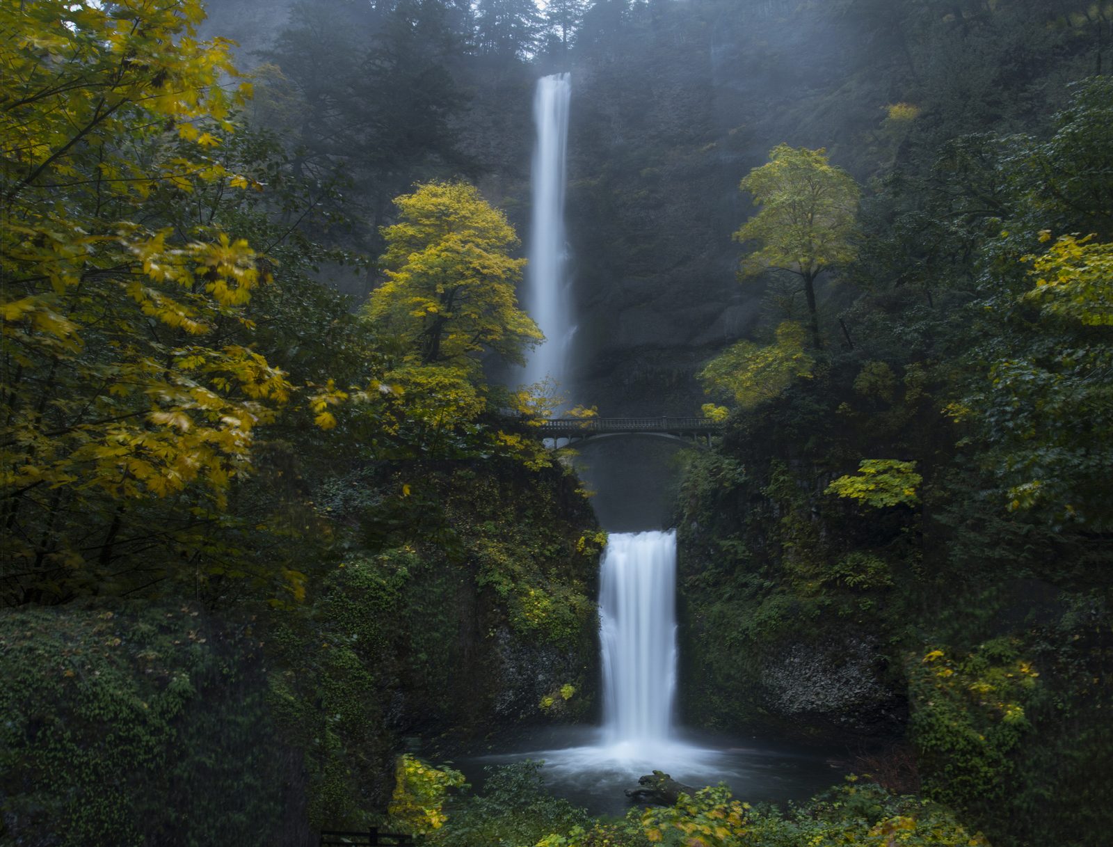 Forest waterfall